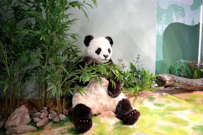 打卡新地标！来汉中这里，开启一场自然之旅~